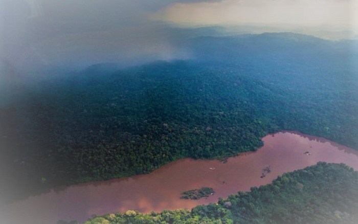 Em sete minutos, parlamentares aprovam mutilação de áreas protegidas no Pará